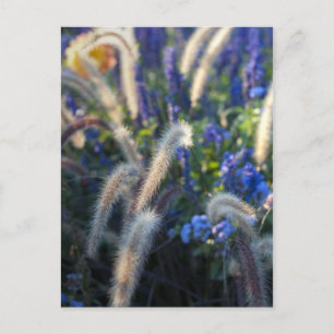 Dreamy Meadow Florals Postcard