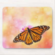 Dreamy Monarch Butterfly