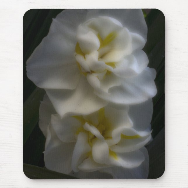 Dreamy Narcissus Daffodils Mouse Mat (Front)