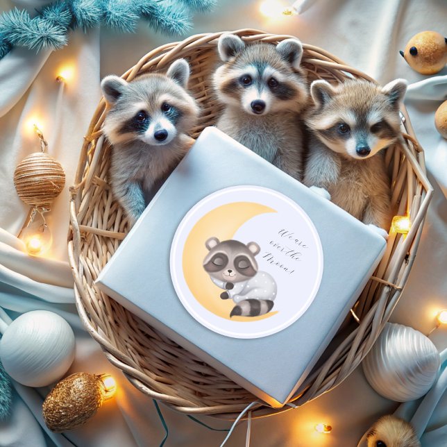 Dreamy Over the Moon Racoon Boy Baby Shower Squar Classic Round Sticker (Dreamy Over the Moon Raccoon Boy Baby Shower Squar Classic Round Sticker)