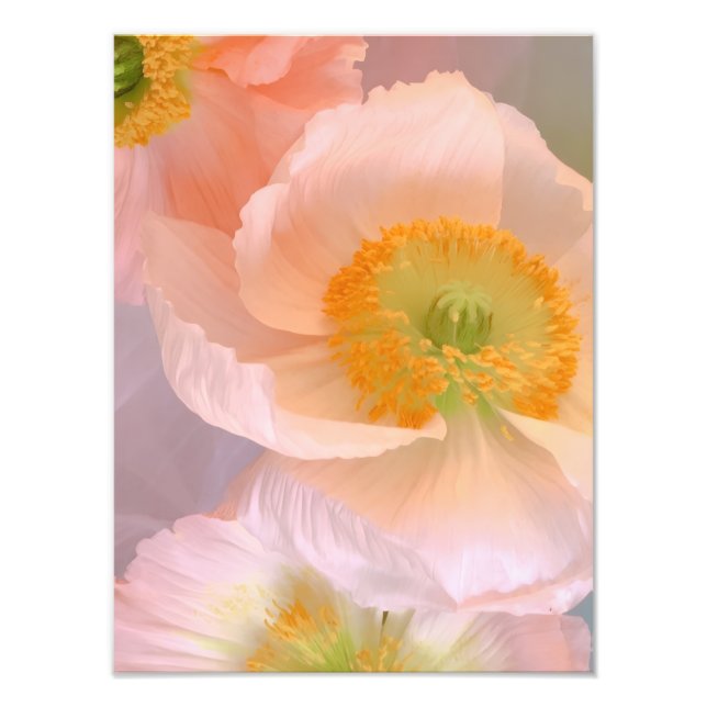 Dreamy Photo Print (Front)