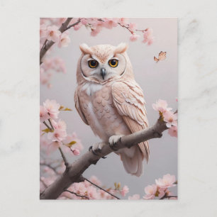 Dreamy Pink Cherry Blossoms Owl Postcard