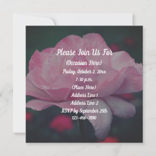 Dreamy Pink Rose Floral  Invitation