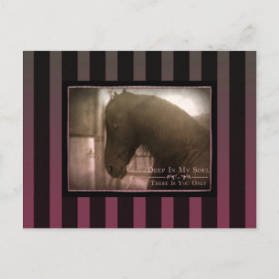 Dreamy - Postcard