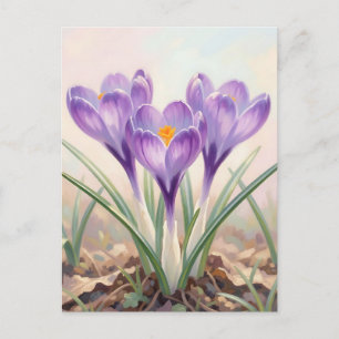Dreamy Purple Crocus Spring Bloom Postcard