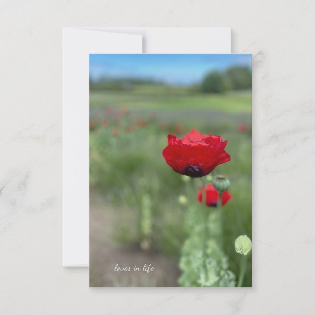 Dreamy Red Poppy Card (Front)