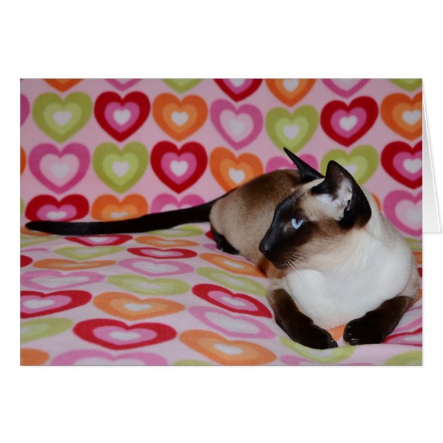 Dreamy Siamese Cat Hearts (Front Horizontal)