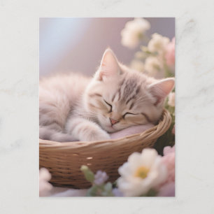 Dreamy Sleeping Kitten Floral Basket Postcard