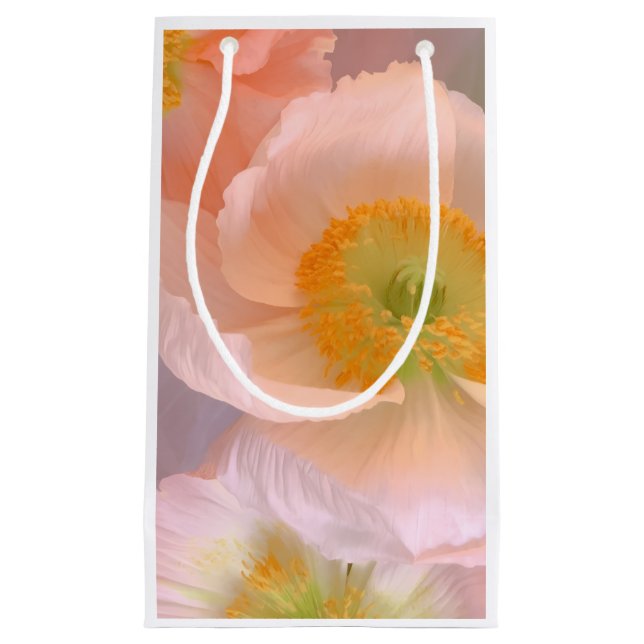 Dreamy Small Gift Bag (Front)