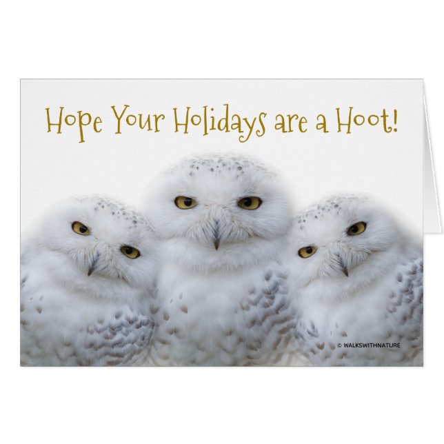 Dreamy Snowy Owls Christmas Family Have a Hoot (Front Horizontal)
