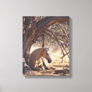 Dreamy Sunset Horse Forest Painting Canvas Print