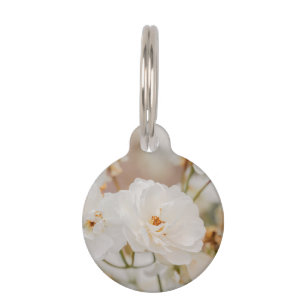 Dreamy White Rose Flowers Photo And Pet's Info Pet Tag