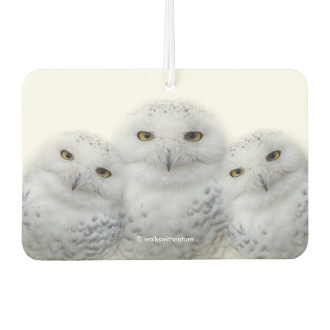 Dreamy Wisdom of Snowy Owls Car Air Freshener (Front)