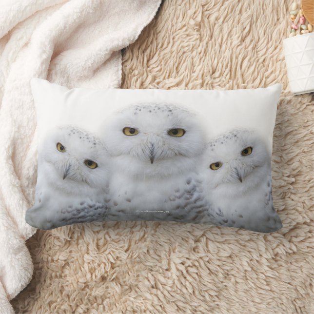 Dreamy Wisdom of Snowy Owls Family Lumbar Cushion (Blanket)