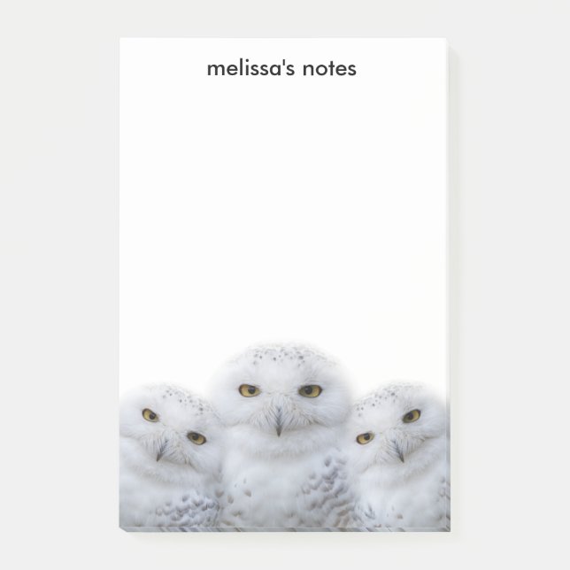 Dreamy Wisdom of Snowy Owls Family Post-it Notes (Front)