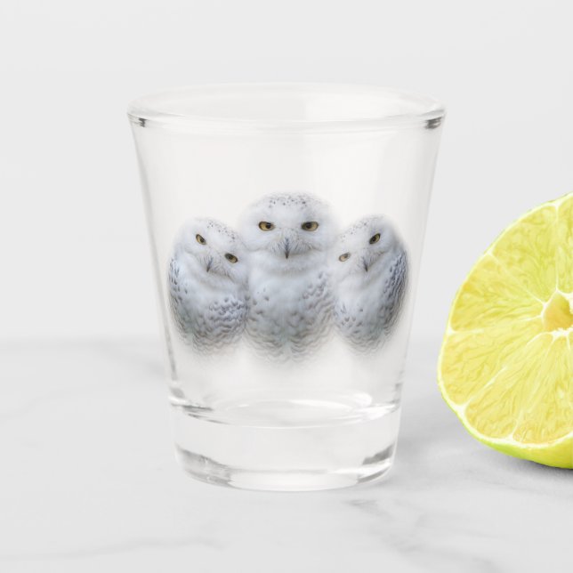 Dreamy Wisdom of Snowy Owls Family Shot Glass (Front)