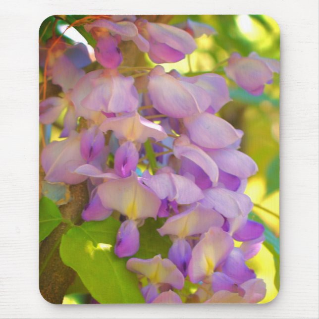 Dreamy Wisteria Flower  Mouse Mat (Front)