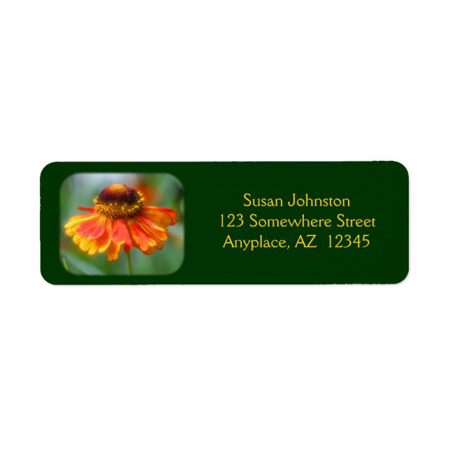 Dreamy Zinnia Flower Address Label (Front)