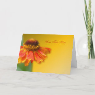 Dreamy Zinnia Flower Photo Card