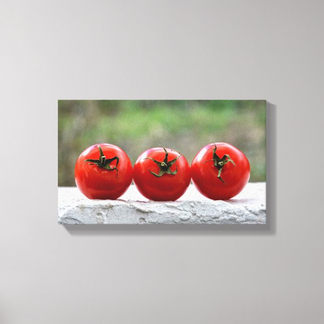 Drei Tomaten auf der Mauer Canvas Print (Front)