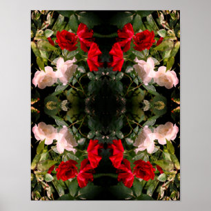 Drenched Red And White Roses Abstract Poster