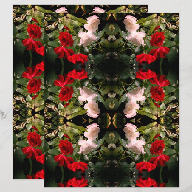 Drenched Red And White Roses Scrapbook Paper (Front/Back)