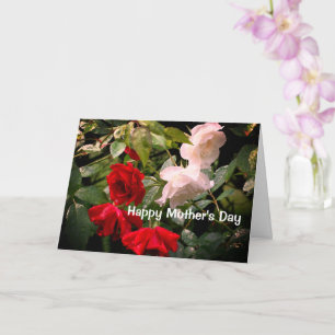 Drenched Roses Flower Mother's Day Card