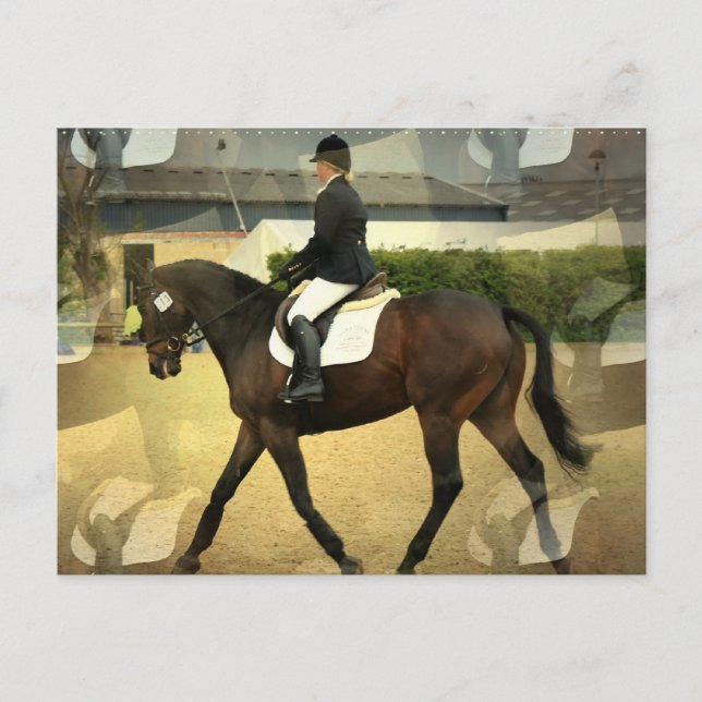 Dressage Competition Postcard (Front)
