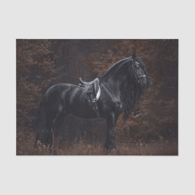 Dressage Friesian Stallion Tissue Paper (Front)