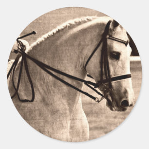 Dressage Grunge Classic Round Sticker