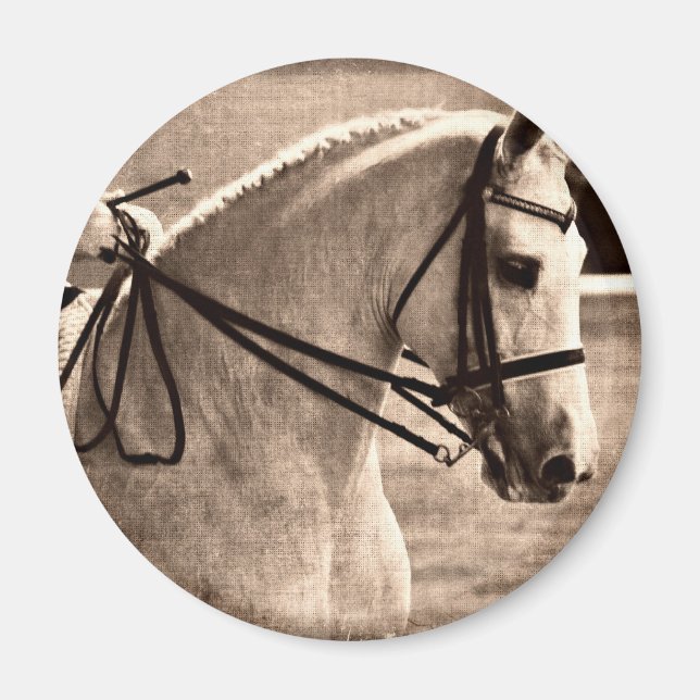 Dressage Grunge Magnet (Front)