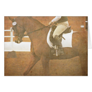 Dressage Horse 139