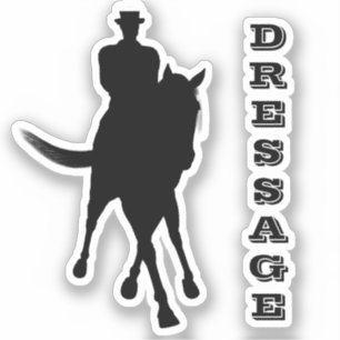 Dressage Horse And Rider