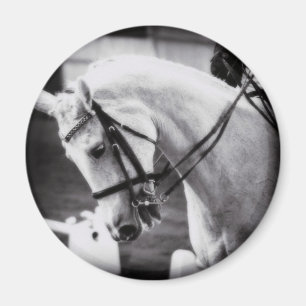 Dressage Horse Black and White Magnet
