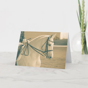 Dressage Horse Card