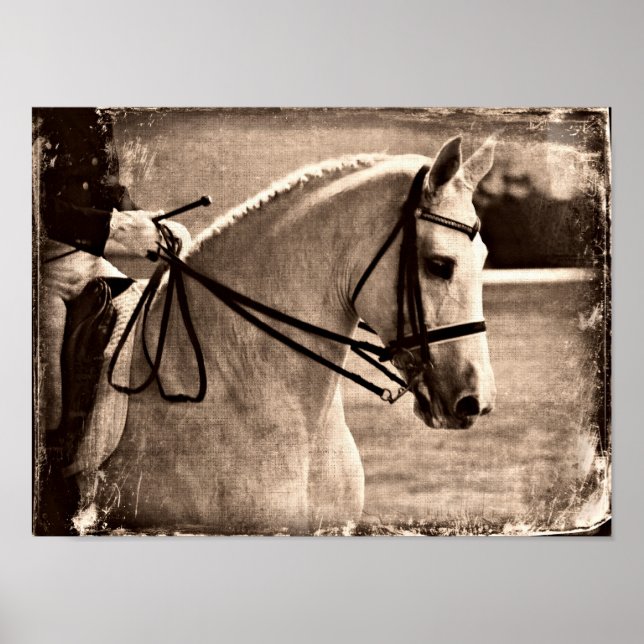 Dressage Horse Grunge Poster (Front)