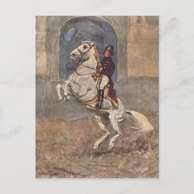 Dressage Show Horse Postcard (Front)