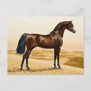Dressage Show Horse Postcard