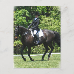 Dressage Tests Postcard