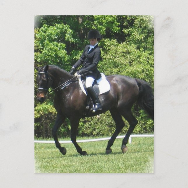 Dressage Tests Postcard (Front)