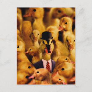 Dressed For Success Duck Postcard