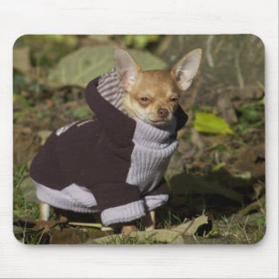 Dressed to kill mouse mat