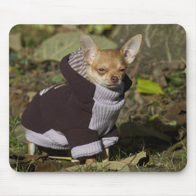 Dressed to kill mouse mat (Front)