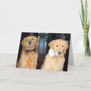 Dressed up Duo Card