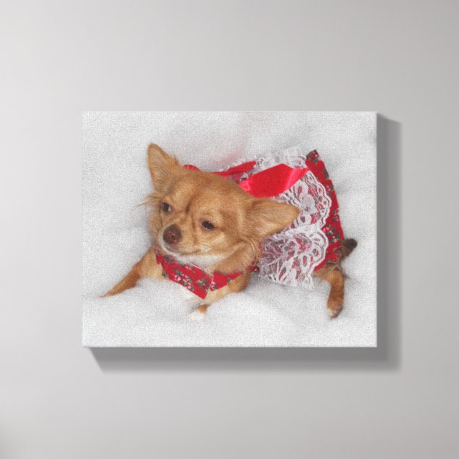 dressy chihuahua printprint canvas print (Front)