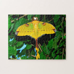 Drexel Butterfly. Jigsaw Puzzle