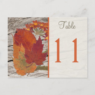 Dried Autumn Leaves and Flowers Table Number Postcard
