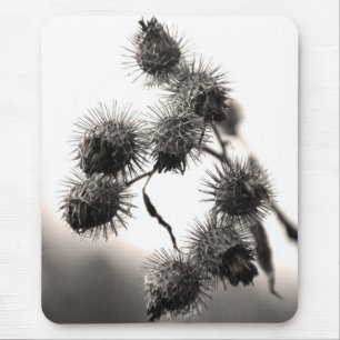 Dried burdock mouse mat