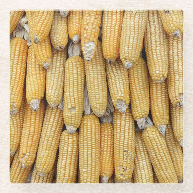Dried Corn Stack: Textured Glass Coaster (Front)