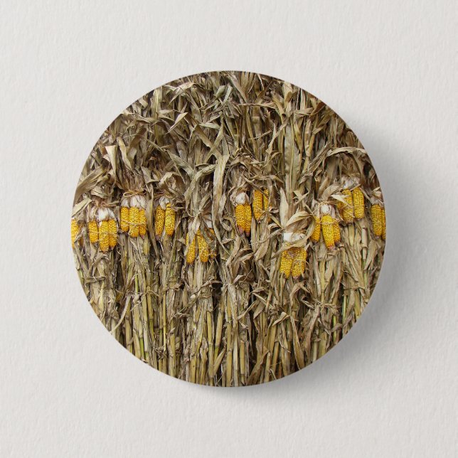 Dried Corn Stalk Decorations 6 Cm Round Badge (Front)